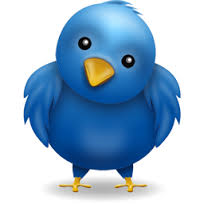 Twitter-icon-the-bird